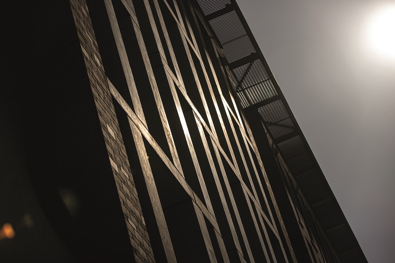 Új szakkollégiumot alapít a Budapesti Metropolitan Egyetem