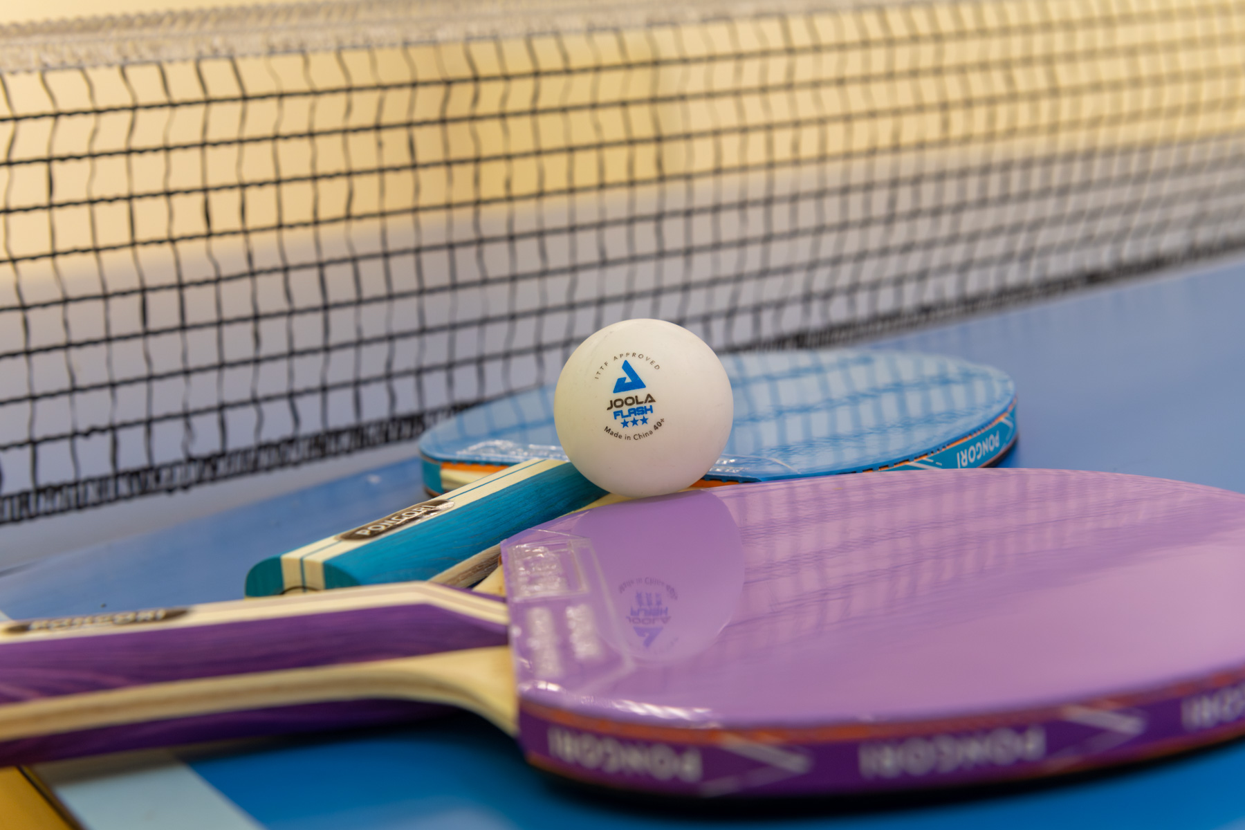 Sport, Élet, Siker – Példaképek a METU-n